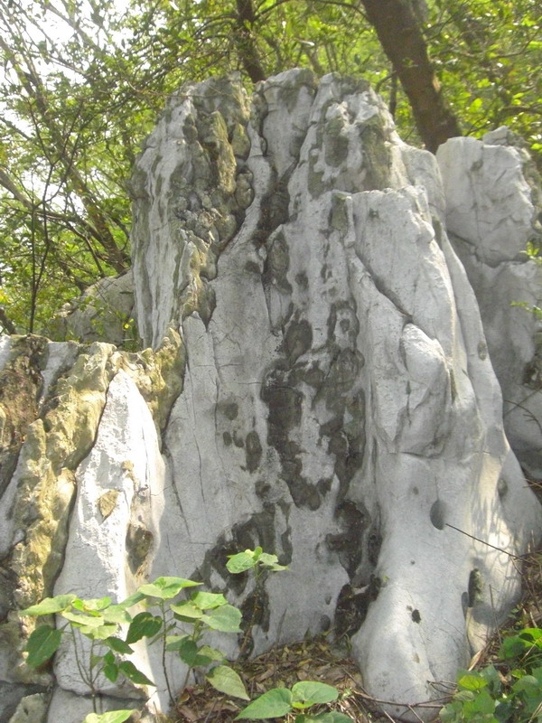 天然石画-无题 摄影 山松