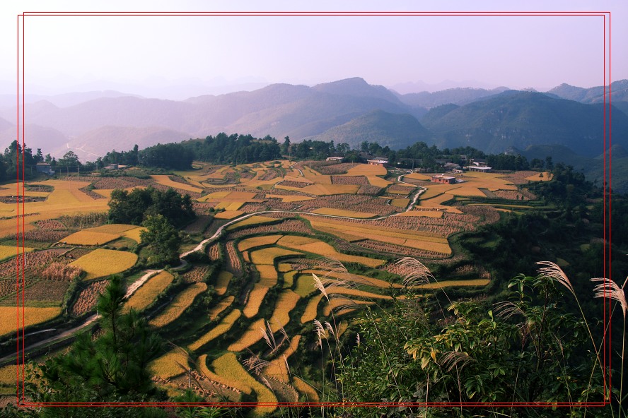 高坡秋色 摄影 黔山秀水