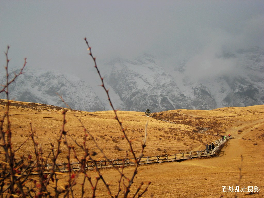 靠近玉龙雪山 摄影 到处乱走