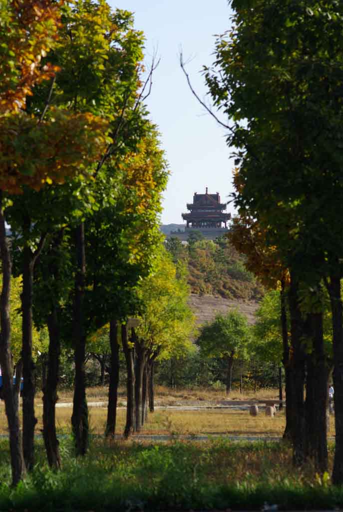 古城秋色    （“鹰眼”命题） 摄影 赏儿