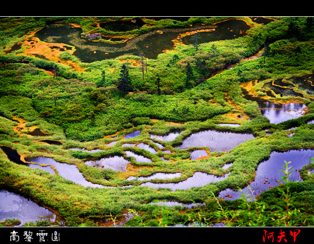 高黎贡山 摄影 剑阳白子