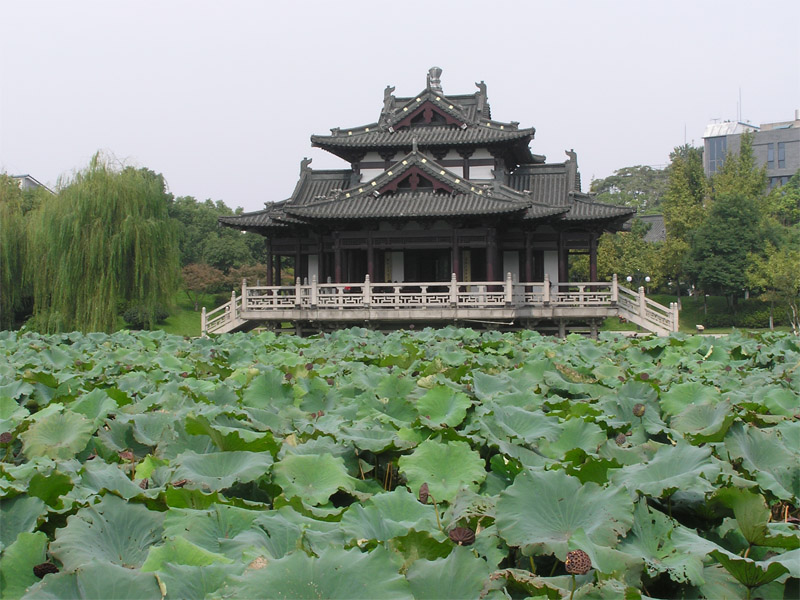 湖州飞英公园 摄影 naturehy