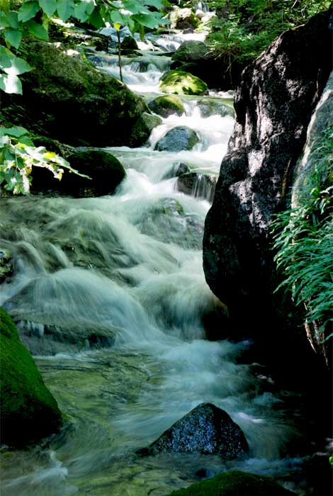 高山流水——31 摄影 独上江楼望月