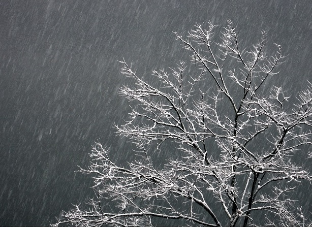 傲雪 摄影 烂柯山