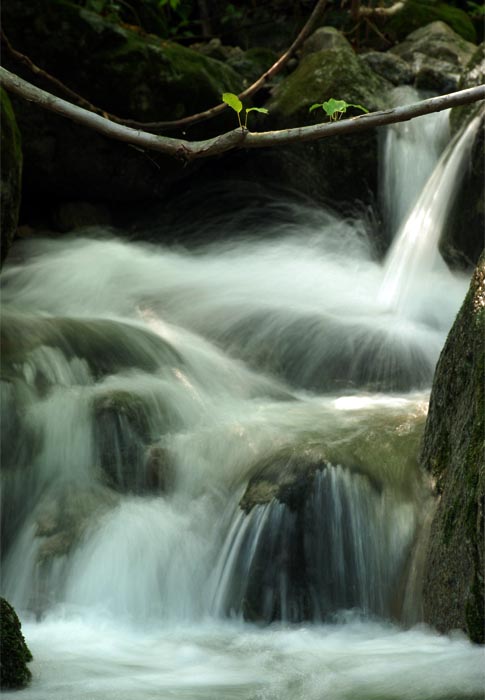 高山流水——32 摄影 独上江楼望月