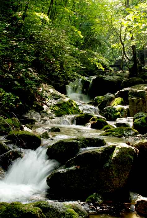 高山流水——33 摄影 独上江楼望月