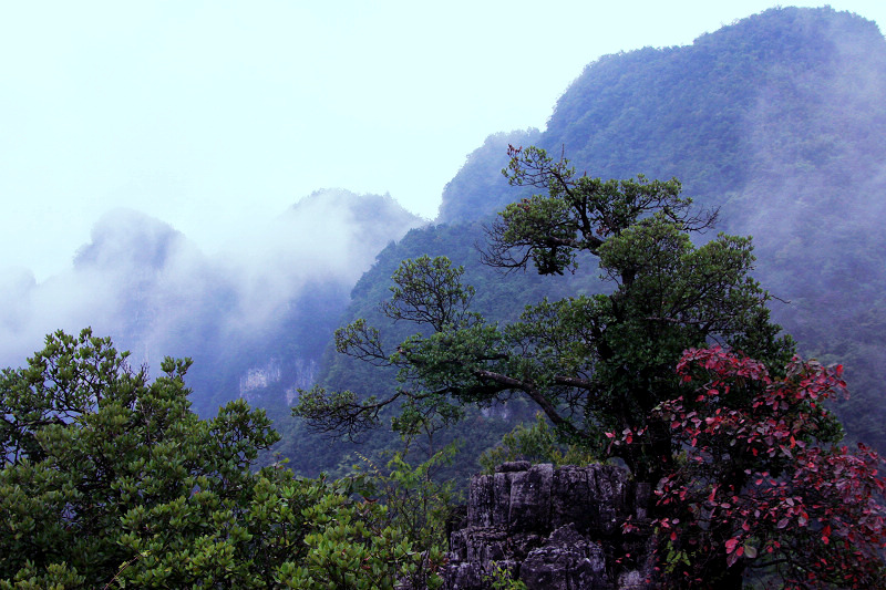 湖北宜昌柴埠溪大峡谷揽胜  之五 摄影 han123456789