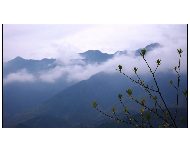 呼吸 摄影 烂柯山