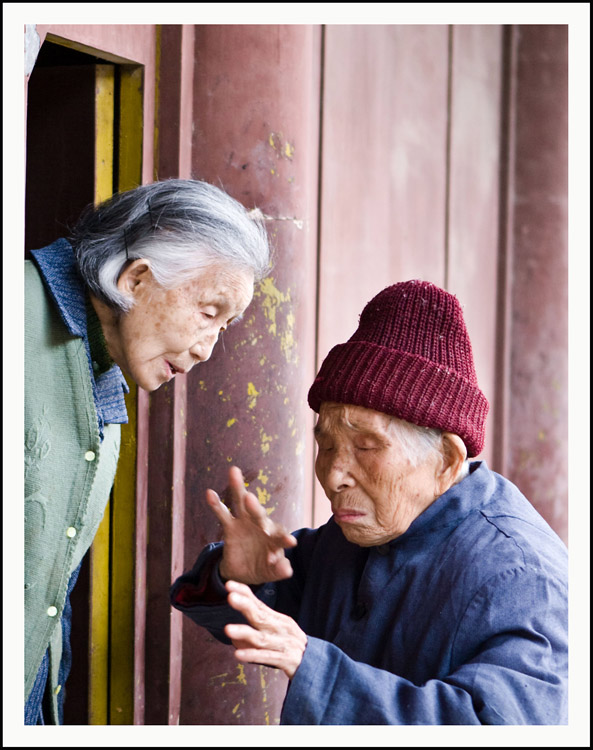 绘声绘色 摄影 走进原野