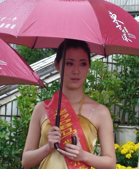 春雨杏花江南 摄影 云水僧