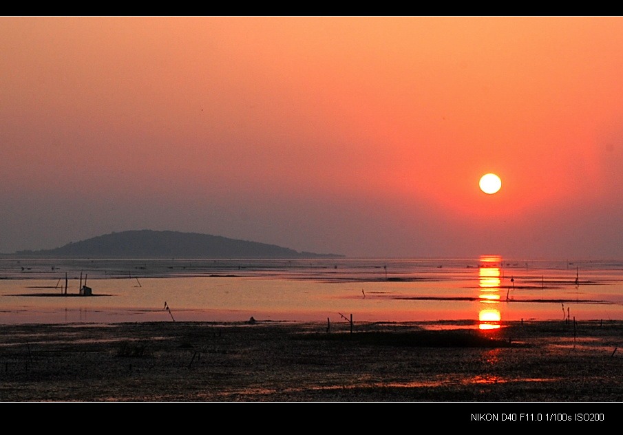 太湖湿地 摄影 高山大侠