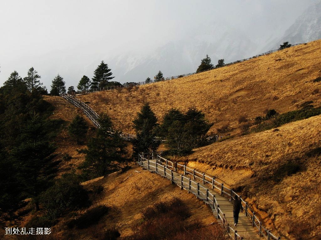 靠近玉龙雪山 摄影 到处乱走