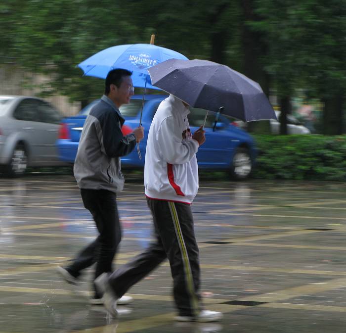 逢雨 摄影 人生自有路