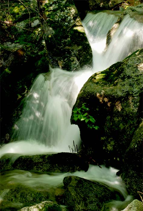 高山流水——37 摄影 独上江楼望月