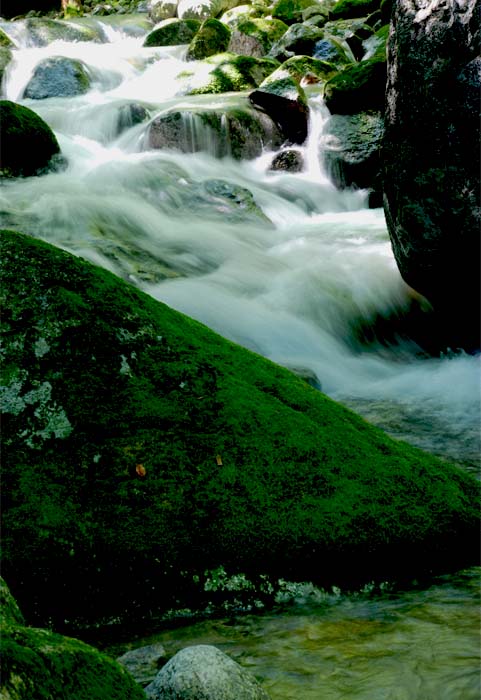 高山流水——38 摄影 独上江楼望月