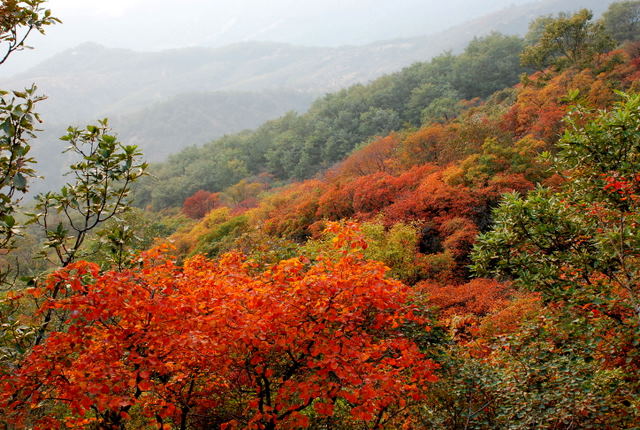 嵩山秋色 摄影 嵩风