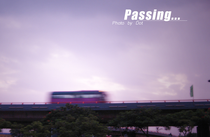 Passing 摄影 D_Dot