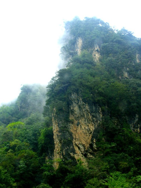 云雾山中 摄影 荆洲大侠