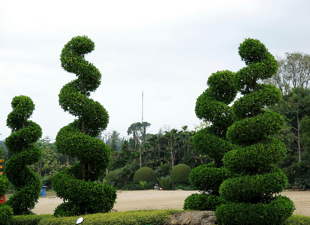 泰国点滴 63. 植物园 摄影 疾飞