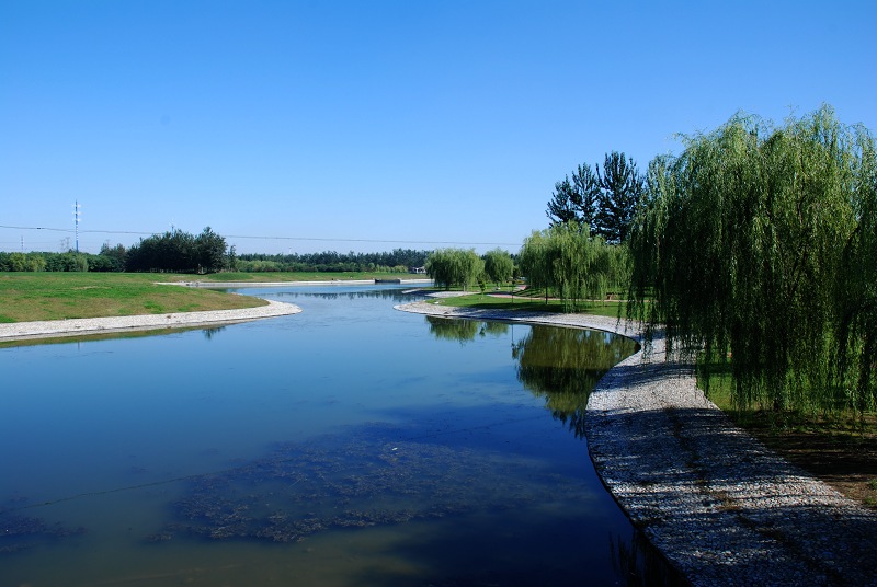 公园小景 摄影 快乐天使小钟