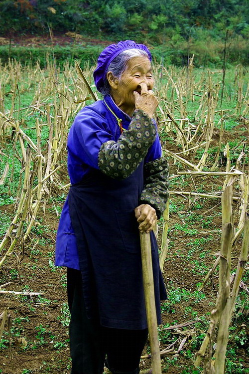 地里干活的老人 摄影 佳期如梦