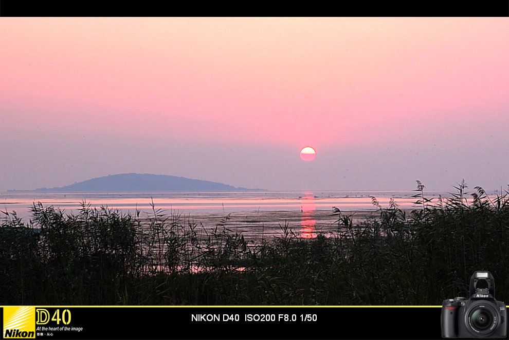 太湖湿地 摄影 高山大侠