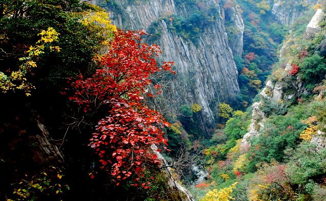 嵩山秋色 摄影 嵩风