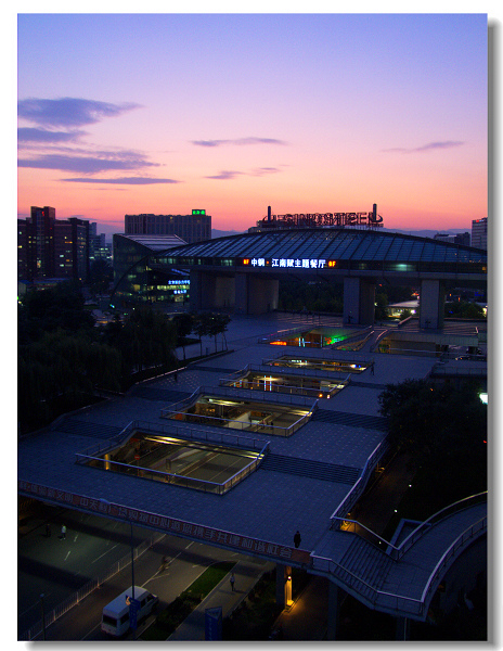 中关村夜景 摄影 树叶儿