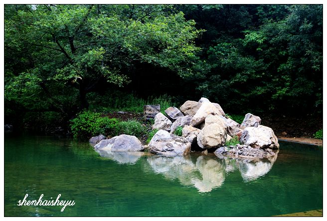 小景 摄影 深海鲨鱼li