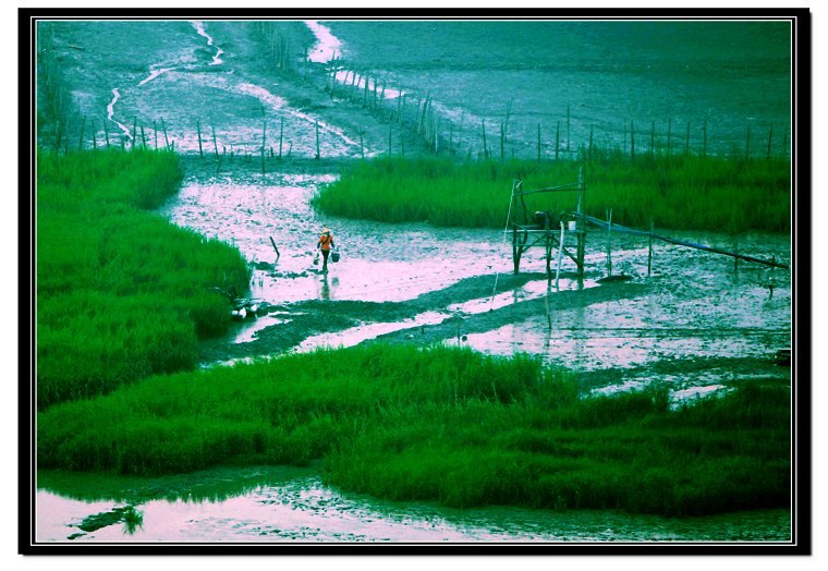 海滩小景 摄影 多米扫