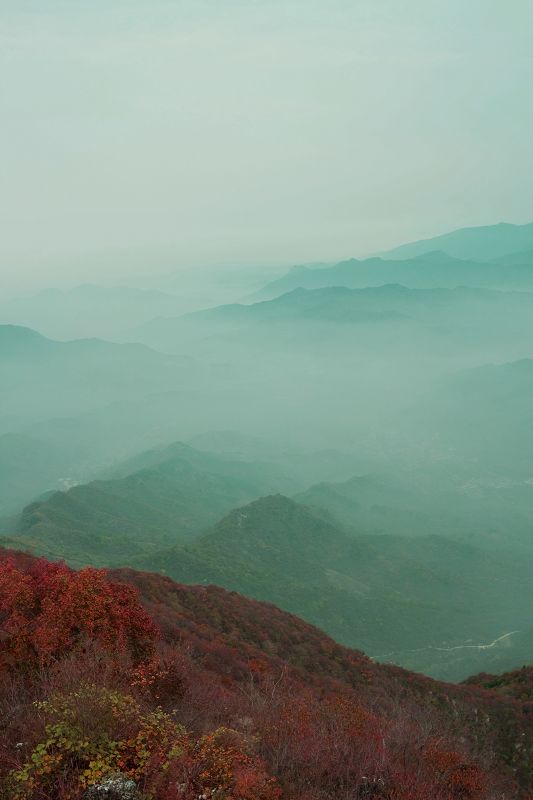 秋 摄影 小板凳