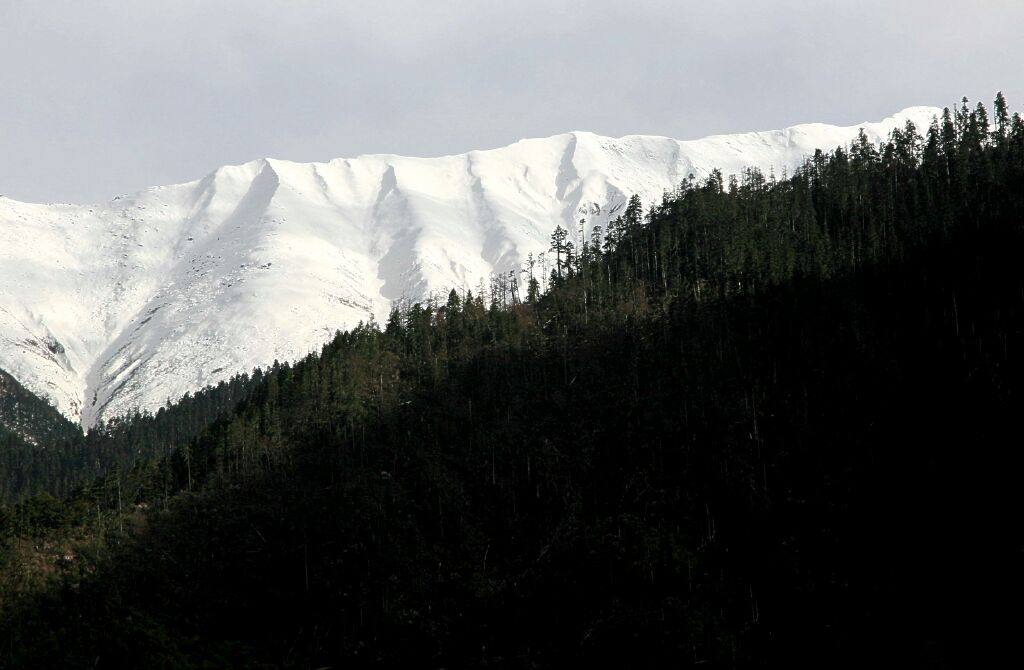 雪域印象-那雪山森林 摄影 三人