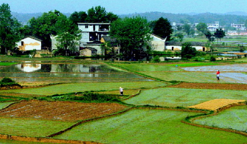 山村田园 摄影 影海叶舟