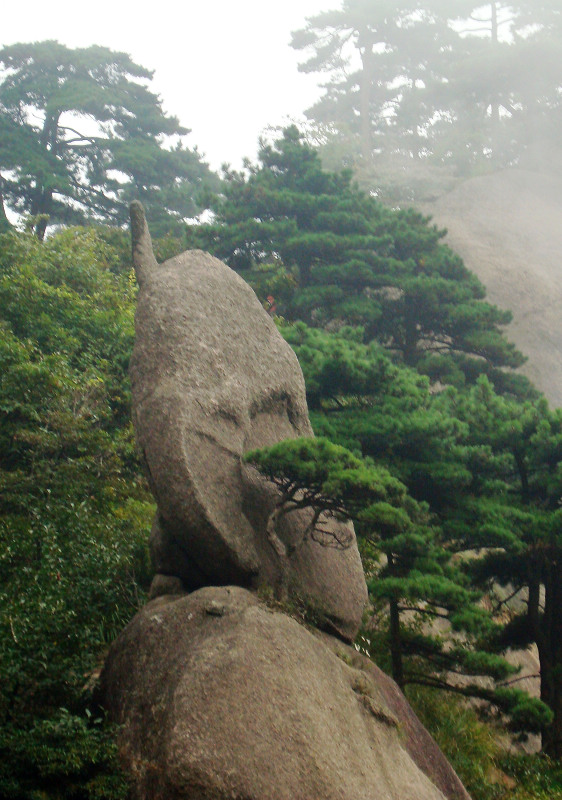 黄山大哥大 摄影 莱阳妮