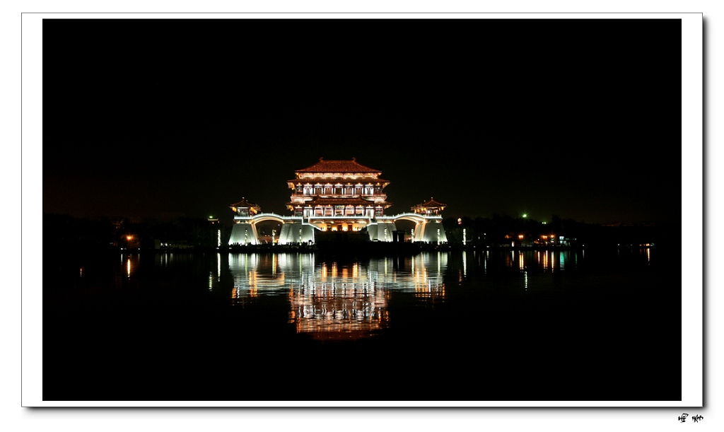 夜的色彩 摄影 森林雨季