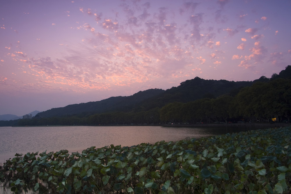 西湖晚景 摄影 JackieYang