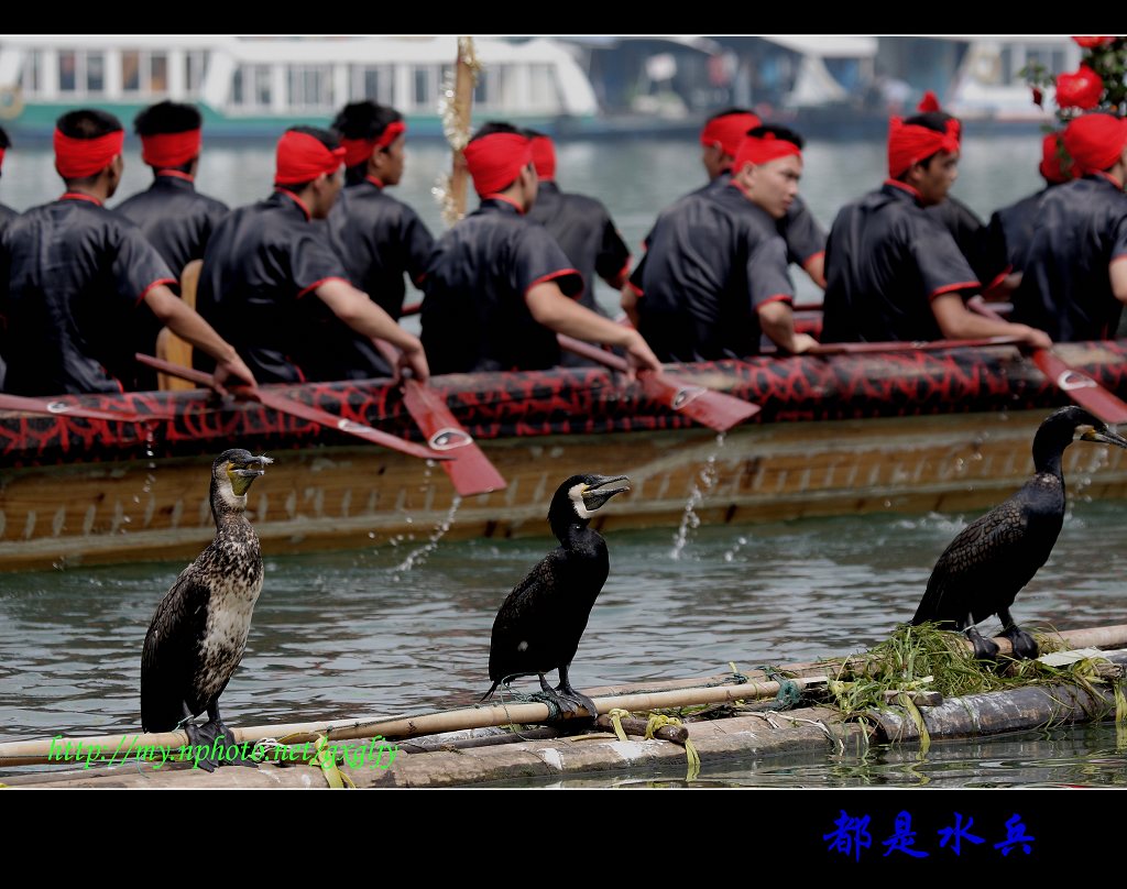 都是水兵 摄影 西部摄驴