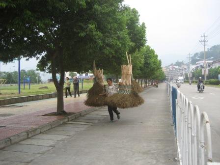 走向市场 摄影 张玉祥