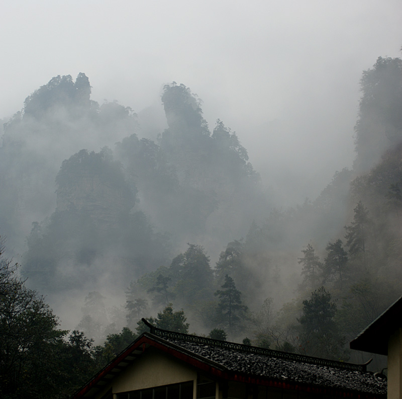 雨中张家界 摄影 wzy