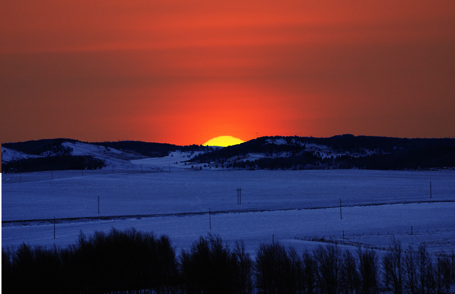 2008呼伦贝尔的第一场雪 摄影 山雀