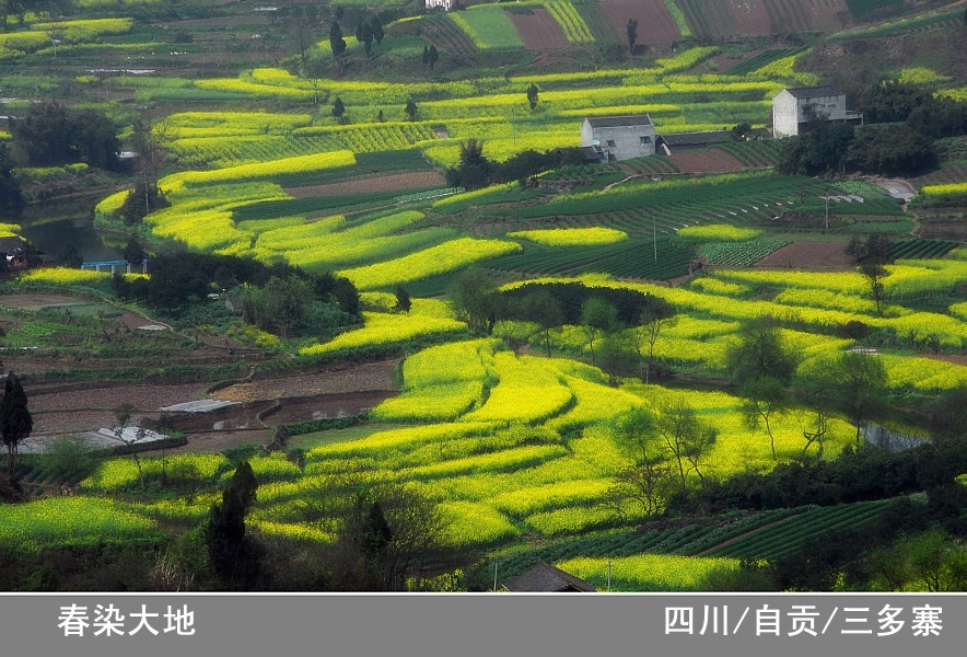 春染大地 摄影 游骑兵