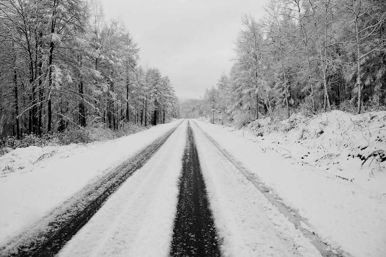 2008年第一场雪 摄影 流星留影