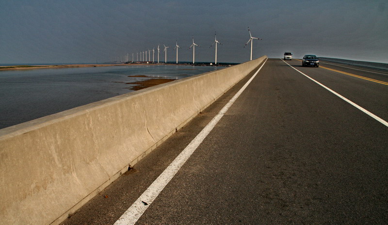 风车 摄影 非洲长颈鹿