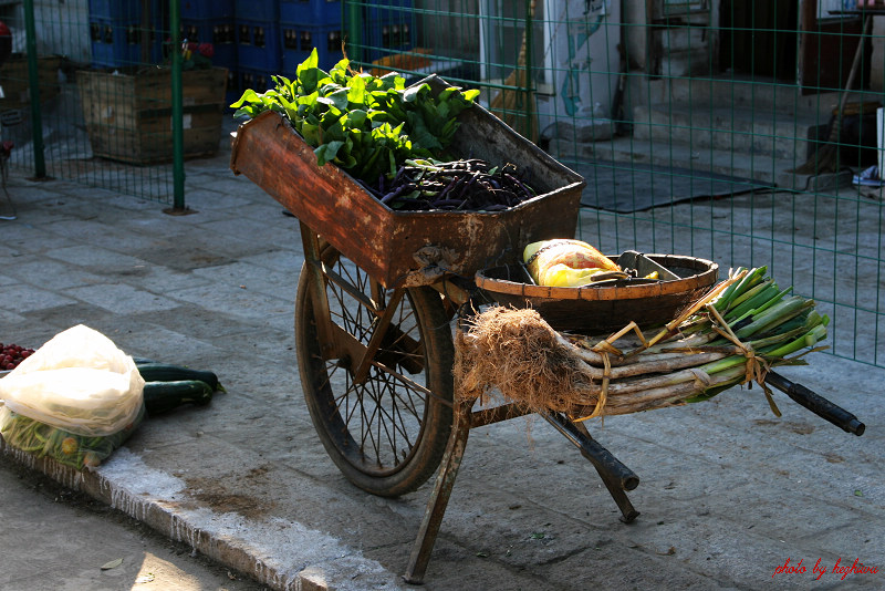 农家菜车 摄影 荷之舞