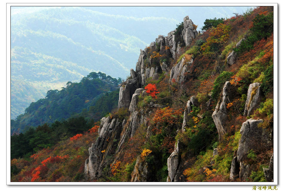 秋染清凉峰（3） 摄影 千岛湖