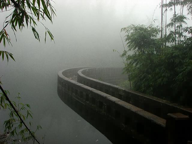 雨中永兴湖 摄影 翠堤春晓