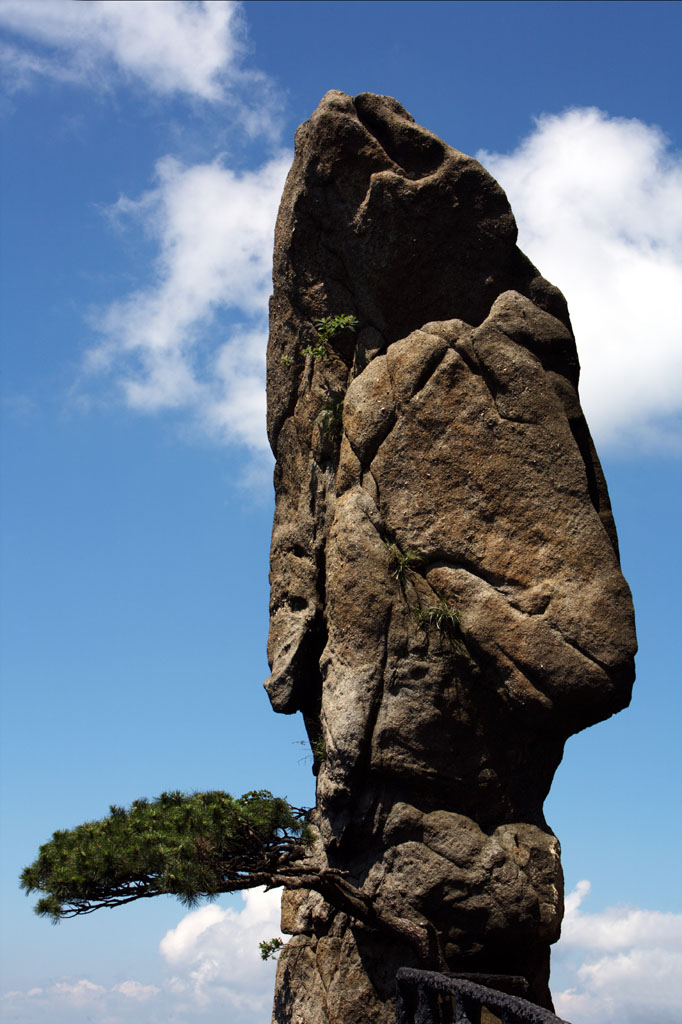 独占鳌头 摄影 塑美郎君