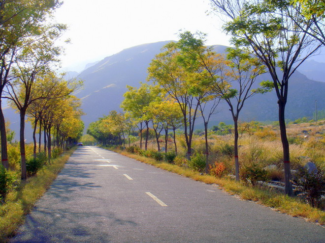 贺兰山之秋 2 摄影 北部湾过客