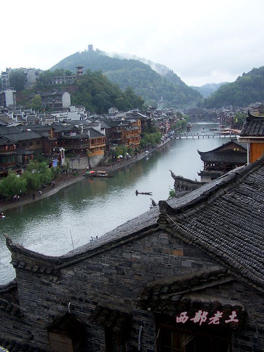 雨中的凤凰 摄影 西部老土