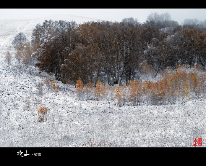 坝上·2008年的第一场雪 摄影 方圆之间